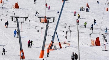 dpa / Waltraud Grubitzsch