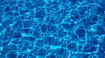 Aqualatin (pixabay.com)