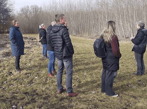 Symbolbild Netzwerk / pixabay raphaelsilva