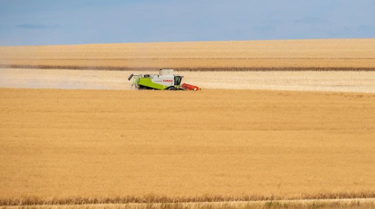 Ein Mähdrescher erntet Getreide auf einem Feld. Foto: Klaus-Dietmar Gabbert/Archivbild