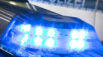Ein Blaulicht auf dem Dach eines Polizeiwagens. Foto: Friso Gentsch/Archivbild