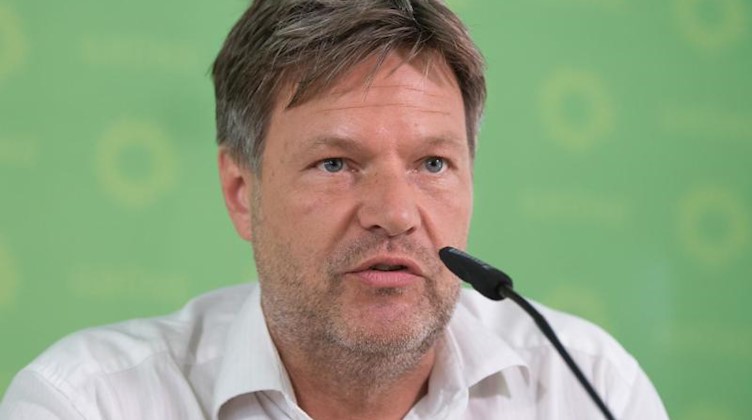 Robert Habeck, Bundesvorsitzender Bündnis 90/Die Grünen. Foto: Sebastian Kahnert