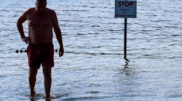 Ein Mann steht dank eines sehr niedrigen Pegelstandes nur knöcheltief im Wasser. Foto: Jens Büttner/Archivbild