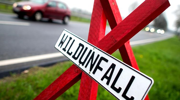 Ein rotes Dreibein mit dem Hinweis auf einen Wildunfall steht an einer Bundesstraße (Symbolbild). Foto: Hauke-Christian Dittrich/Archivbild