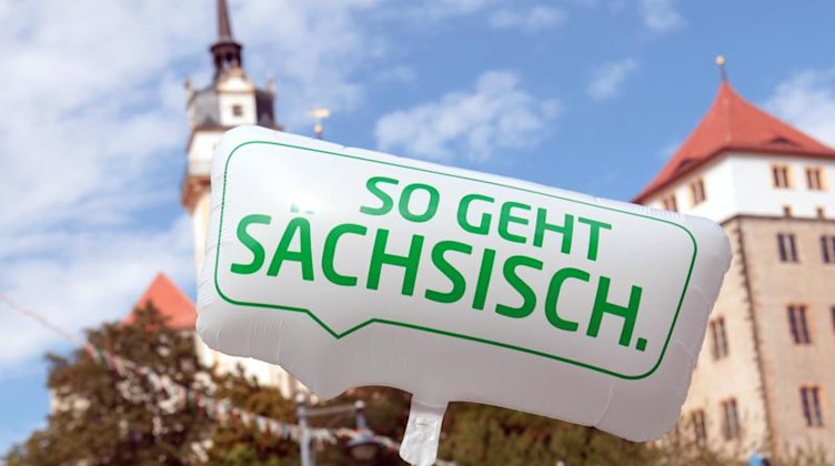 «Tag der Sachsen». Foto: Nadja Kühne/Stadtverwaltung Torgau/Archivbild