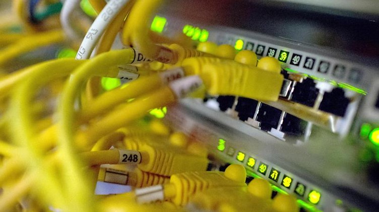 Zahlreiche Netzwerkkabel stecken in Routern in einem Serverraum. Foto: Matthias Balk/Archiv