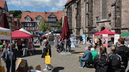 12. Seniorentag in Hann. Münden – Ein Fest der Begegnung, Information und Lebensfreude