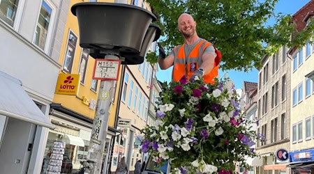 Göttingen erblüht – Pro City macht die Innenstadt bunt