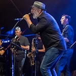 Phil Miller & The Mills-Tones beleben die Zeiten kraftvoller Blues- und Soulbands wieder und heizen am Samstag das Publikum auf dem Doktorwerder in Hann. Münden ein. Foto: Band 