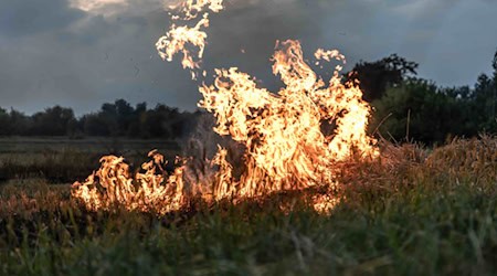 Brandgefahr auch im Werra-Meißner-Kreis. Symbolfoto: Freepik