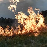 Brandgefahr auch im Werra-Meißner-Kreis. Symbolfoto: Freepik