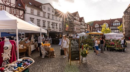 Foto: Jules Stolzenhain