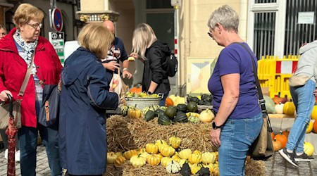 Buntes Markttreiben trotz Regen: Zahlreiche Gäste nutzten den Herbst- und Bauernmarkt in Hann. Münden zum Bummeln und Genießen. Foto: Kuke