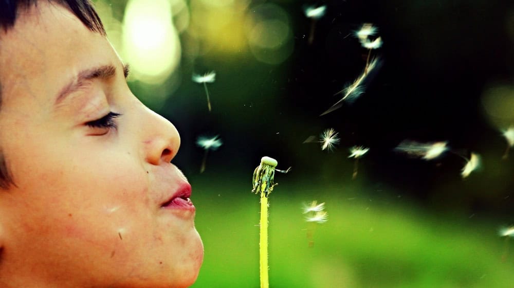 Kinder-Ferien stehen bevor. Foto: Pixabay
