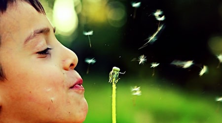 Kinder-Ferien stehen bevor. Foto: Pixabay
