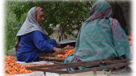 Im Vortrag gibt es Einblicke in Volkserzählungen, welche die uralte Verbindung zwischen Menschen und Natur in Pakistan thematisieren. Foto: Andreas Bürkert