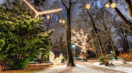 Die im Vorjahr sehr erfolgreich gestarteten Lichterzauber-Führungen werden 2025 fortgeführt. Foto: Hann. Münden Marketing GmbH, Jules Stolzenhain
