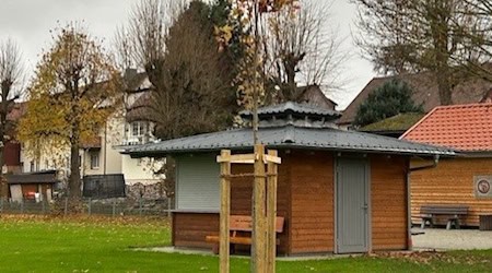  Die Neupflanzungen umfassen eine Vielzahl unterschiedlicher Baumarten wie Linden, Ahorne, Kastanien, Kirschen, Zieräpfel, Ebereschen, Felsenbirnen, Birken und Buchen. Foto: Stadt Osterode