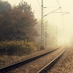 Leichenfund in Göttingen. Symbolbild: Pixabay