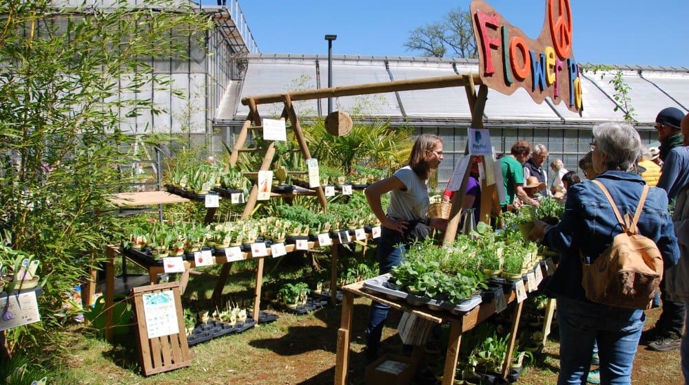 Es ist der Termin, auf den Pflanzenliebhaber und Hobbygärtnerinnen in der gesamten Region hinarbeiten: Am Sonntag, 26. April (10 bis 17 Uhr), verwandelt sich das Gelände rund um das Tropengewächshaus in Witzenhausen wieder in ein grünes Paradies. Foto: Anita Weix