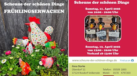 Frühlingserwachen in der Scheune der schönen Dinge. Foto SDSD