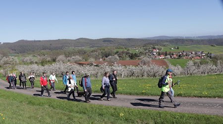 Kirschblütenwanderung in Kleinalmerode