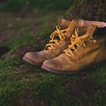 Seid ihr bereit für ein Jahr voller Abenteuer direkt vor der Haustür? Foto: pixabay