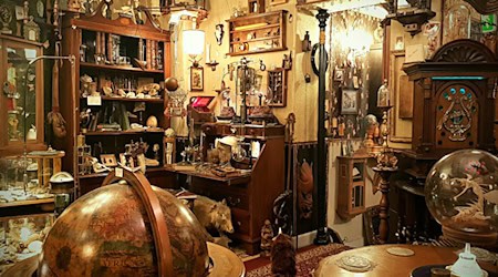 Dr. Wolfs Wunderkammer in Hann. Münden