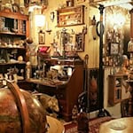 Eine Welt voller Kuriositäten. Foto: swolf