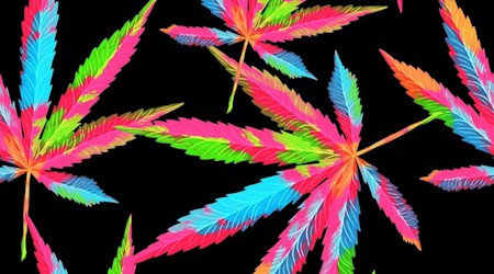 Die Kammer stützt ihre Forderung auf aktuelle Studien: Die Drogenaffinitätsstudie 2025 zeigt ein deutliches Plus bei den 18- bis 25-Jährigen. Symbolbild pixabay