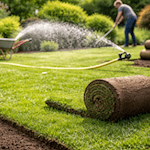 Frisch verlegter Rollrasen sorgt schon im Frühjahr für sattes Grün im Garten. Wichtig sind ein gut vorbereiteter Untergrund und ausreichend Wasser in den ersten Tagen. Foto: KI generiert