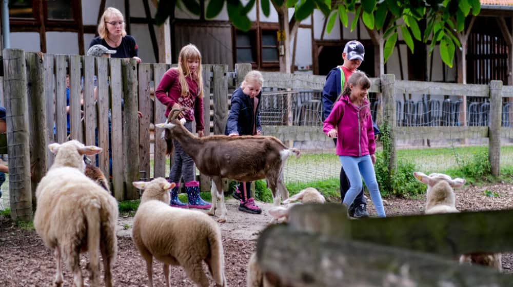 Tierbegegnungen auf Gut Herbigshagen (Foto: Dietrich Kühne)