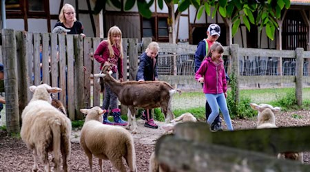Tierbegegnungen auf Gut Herbigshagen (Foto: Dietrich Kühne)