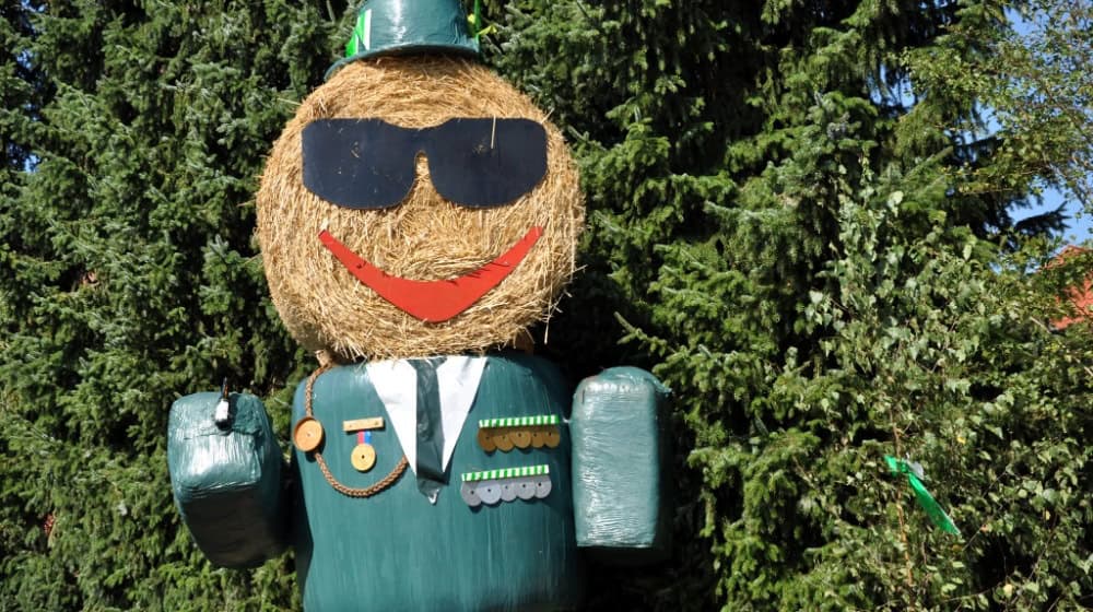Vom 10. bis 13. Juli stehen Vogelschießen, Musik, Festumzug und der Brombeermann im Mittelpunkt. Foto: generiert