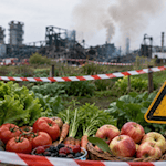 Nach dem Großbrand in Hann. Münden rät das Veterinäramt vorsorglich davon ab, selbst angebautes Obst und Gemüse in den betroffenen Bereichen zu verzehren. Symbolbild: KI-generiert.