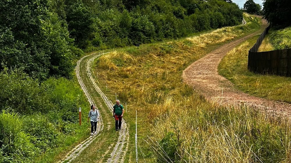 Auf den Spuren der deutschen Teilung: Das Grenzmuseum Schifflersgrund lädt am 16. August zu einer geführten Sommerwanderung entlang des Grünen Bandes und durch die ehemaligen Grenzdörfer Sickenberg und Asbach ein. Foto: Grenzlandmuseum