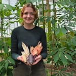 Das Foto zeigt Dorothee Vetter mit bunten Maissorten vor Maniokpflanzen. Foto: Tropengewächshaus