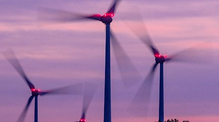 Mit Signallampen beleuchtete Windräder drehen sich nach Sonnenuntergang. / Foto: Jens Büttner/dpa/Archivbild