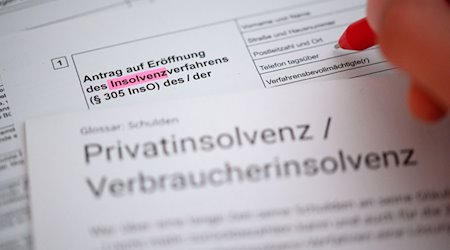 Ein Mann füllt einen Antrag zur Eröffnung eines Insolvenzverfahrens aus. / Foto: Jonas Walzberg/dpa/Illustration