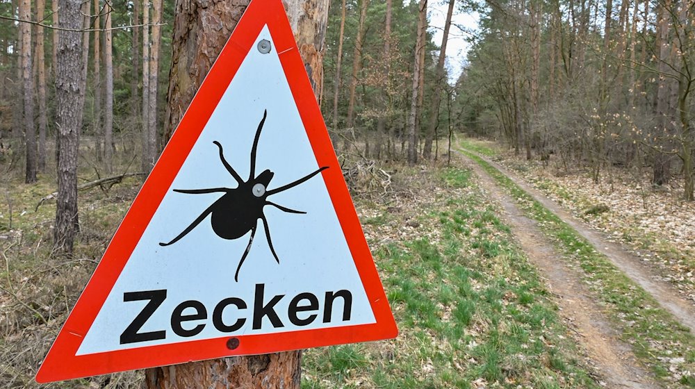 Zeckenaktivität in Thüringen: Wanderer und Waldbesucher sollten wachsam sein