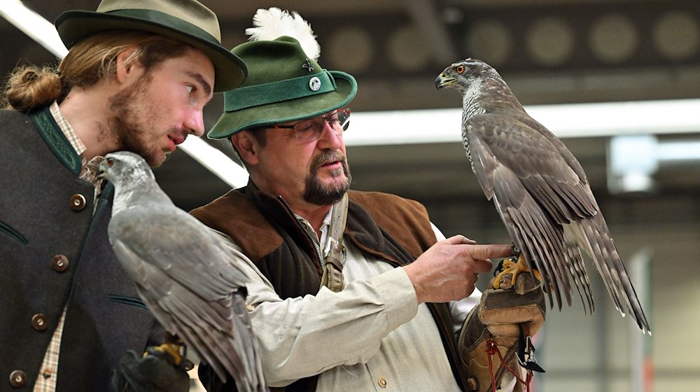 Falkner zeigen ihr Können am Tag der Eröffnung der Freizeit-Messen "Reiten-Jagen-Fischen" und "Forst3“. / Foto: Martin Schutt/dpa