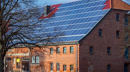 Solarpaneele sind auf dem Dach eines Bauernhauses zu sehen. / Foto: Jens Büttner/dpa/Archivbild
