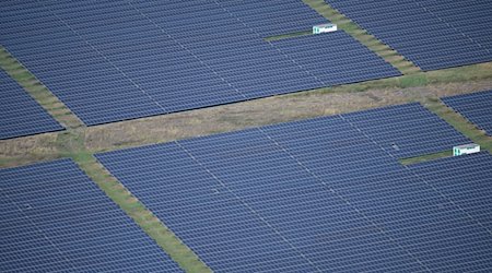 Ein Solarpark wird von der Sonne angeschienen. / Foto: Sebastian Gollnow/dpa