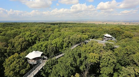 Vom Aussichtsturm des Baumkronenpfades reicht der Blick in die weite Landschaft. Der Baumkronenpfad im Nationalpark Hainich gehört zu den ungewöhnlichen Orten, an denen die Thüringer Bachwochen für ein Projekt zur Belebung des ländlichen Raums Konzerte veranstalten. / Foto: Matthias Bein/dpa-Zentralbild/dpa