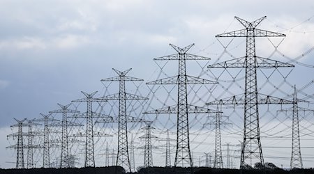 Strommasten stehen in der Nähe eines Umspannwerks. / Foto: Christian Charisius/dpa/Symbolbild