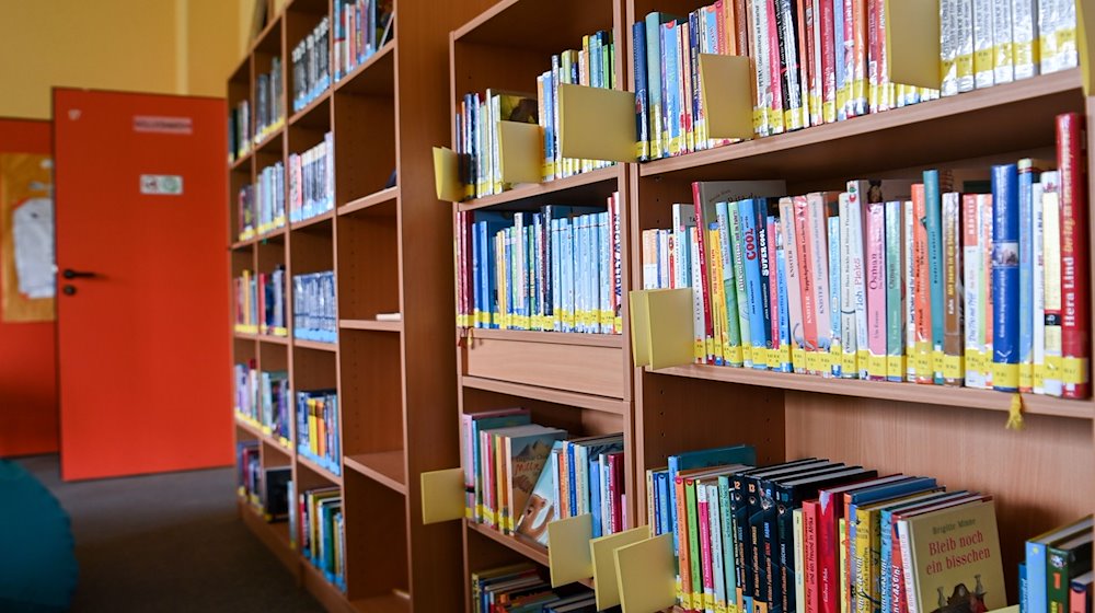 Eine Schulbibliothek in Deutschland. / Foto: Jens Kalaene/dpa/Symbolbild