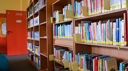 Eine Schulbibliothek in Deutschland. / Foto: Jens Kalaene/dpa/Symbolbild