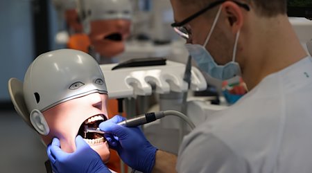 Ein Student der Zahnmedizin an der Uni Leipzig übt an einem sogenannten Phantompatienten. / Foto: Jan Woitas/dpa/Symbolbild