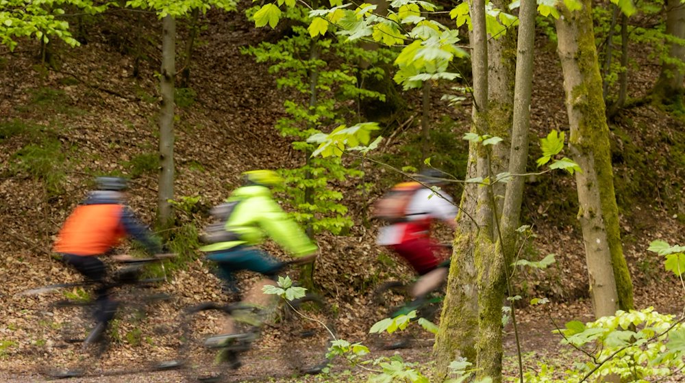 Radfahrer sind auf einem Weg nahe Ilmenau unterwegs. / Foto: Michael Reichel/dpa/Symbolbild