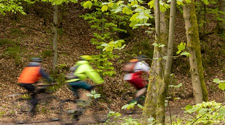 Radfahrer sind auf einem Weg nahe Ilmenau unterwegs. / Foto: Michael Reichel/dpa/Symbolbild